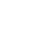 Esperienza consolidata dal 2009