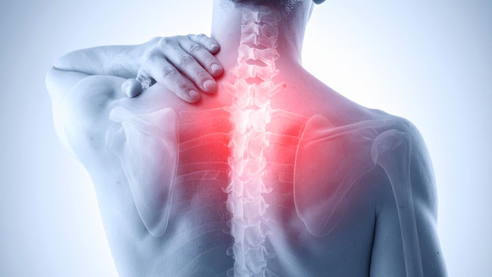 Scopri di più sull'articolo Polizza Infortuni